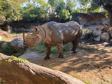 天王寺動物園に投稿された画像（2024/10/20）