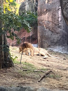 天王寺動物園に投稿された画像（2024/10/20）