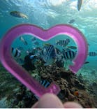 青の洞窟専門店　沖縄ダイビングショップ和に投稿された画像（2024/10/20）