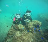 沖縄マリンサービス碧に投稿された画像（2024/10/20）