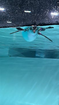 AOAO SAPPOROに投稿された画像（2024/10/20）