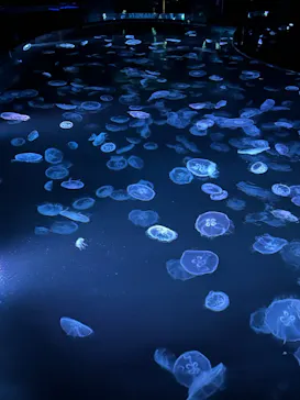 すみだ水族館に投稿された画像（2024/10/20）