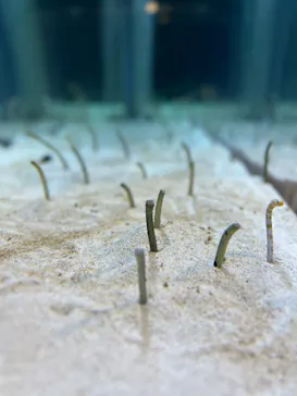 すみだ水族館に投稿された画像（2024/10/20）