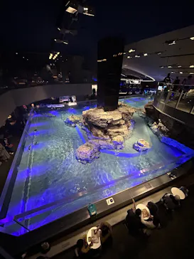 すみだ水族館に投稿された画像（2024/10/20）