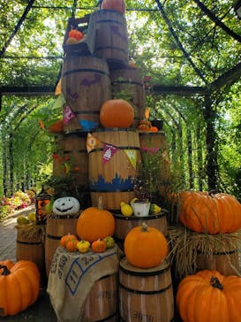 横浜イングリッシュガーデンに投稿された画像（2024/10/20）