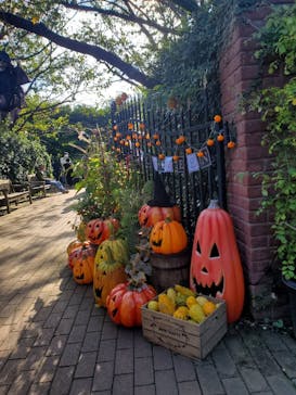 横浜イングリッシュガーデンに投稿された画像（2024/10/20）