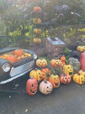 横浜イングリッシュガーデンに投稿された画像（2024/10/20）