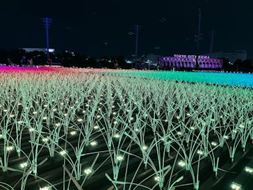 東京メガイルミに投稿された画像（2024/10/20）