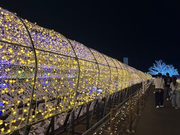 東京メガイルミに投稿された画像（2024/10/20）