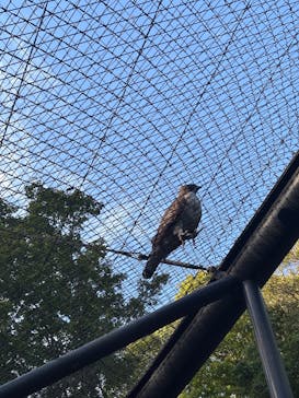 多摩動物公園に投稿された画像（2024/10/20）