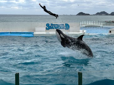 鴨川シーワールドに投稿された画像（2024/10/20）