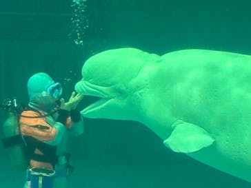 鴨川シーワールドに投稿された画像（2024/10/20）