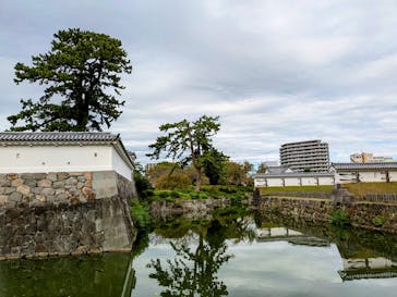 小田原城に投稿された画像（2024/10/20）