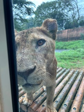 多摩動物公園に投稿された画像（2024/10/20）