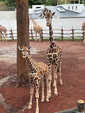 多摩動物公園に投稿された画像（2024/10/20）
