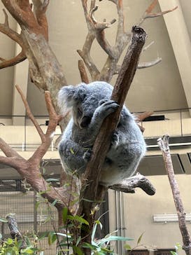 多摩動物公園に投稿された画像（2024/10/20）