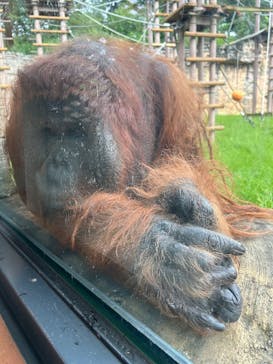 多摩動物公園に投稿された画像（2024/10/20）