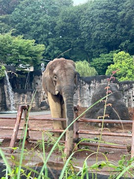 多摩動物公園に投稿された画像（2024/10/20）