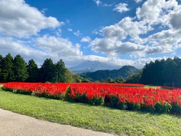 とっとり花回廊に投稿された画像（2024/10/20）
