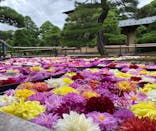 日本庭園　由志園に投稿された画像（2024/10/20）