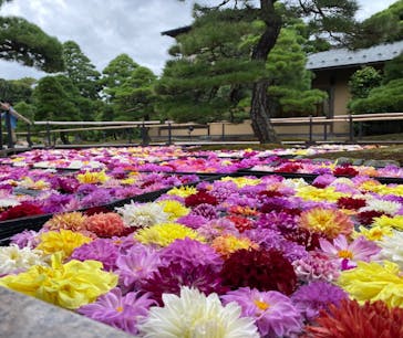 日本庭園　由志園に投稿された画像（2024/10/20）