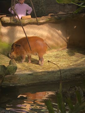 那須どうぶつ王国に投稿された画像（2024/10/20）