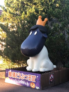 那須どうぶつ王国に投稿された画像（2024/10/20）