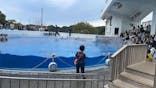 九十九島水族館海きららに投稿された画像（2024/10/20）