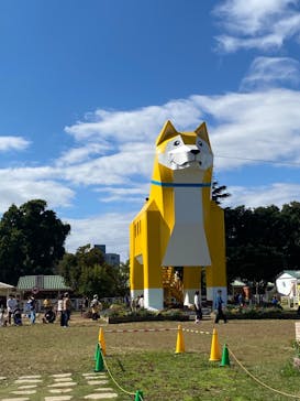 つくばわんわんランドに投稿された画像（2024/10/20）