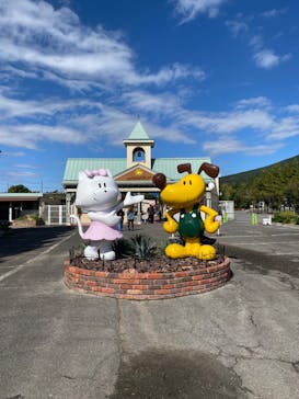 つくばわんわんランドに投稿された画像（2024/10/20）