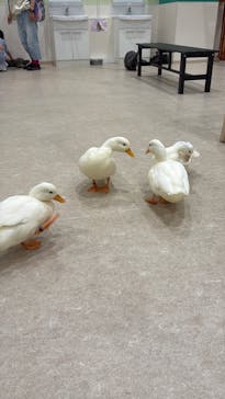 アニタッチPARKイオンモール太田に投稿された画像（2024/10/20）