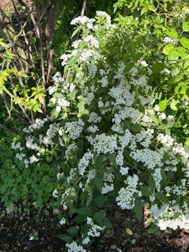 横浜イングリッシュガーデンに投稿された画像（2024/10/20）