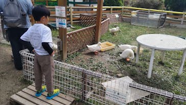 恵那峡ワンダーランドに投稿された画像（2024/10/20）