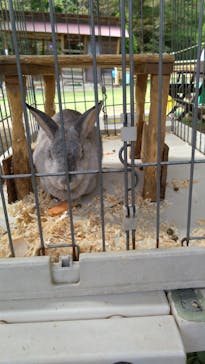 恵那峡ワンダーランドに投稿された画像（2024/10/20）