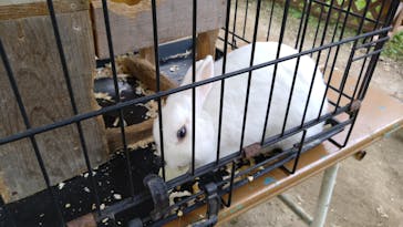 恵那峡ワンダーランドに投稿された画像（2024/10/20）