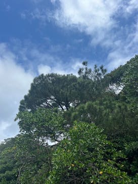 西表島 ADVENTURE PiPi（アドベンチャーピピ）に投稿された画像（2024/10/20）