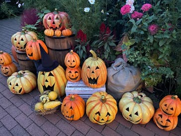 横浜イングリッシュガーデンに投稿された画像（2024/10/20）