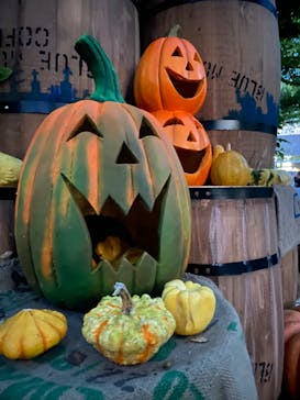 横浜イングリッシュガーデンに投稿された画像（2024/10/20）