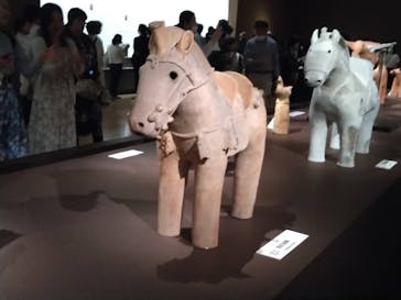 挂甲の武人 国宝指定50周年記念 特別展「はにわ」@東京国立博物館 平成館に投稿された画像（2024/10/20）