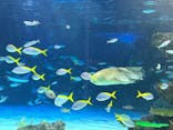 サンシャイン水族館に投稿された画像（2024/10/20）