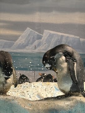 名古屋港水族館に投稿された画像（2024/10/20）