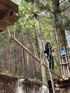 冒険の森のせに投稿された画像（2024/10/20）