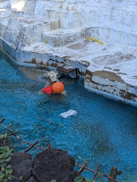 天王寺動物園に投稿された画像（2024/10/20）