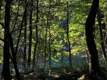 清流の国 ⽂化探訪 「南⾶騨 Art Discovery」〜イベントは終了しました〜に投稿された画像（2024/10/20）