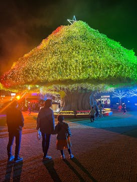 東京メガイルミに投稿された画像（2024/10/20）