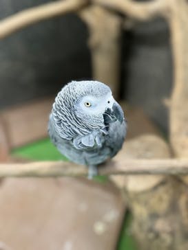 ダチョウ王国石岡ファームに投稿された画像（2024/10/20）