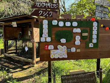 ダチョウ王国石岡ファームに投稿された画像（2024/10/20）