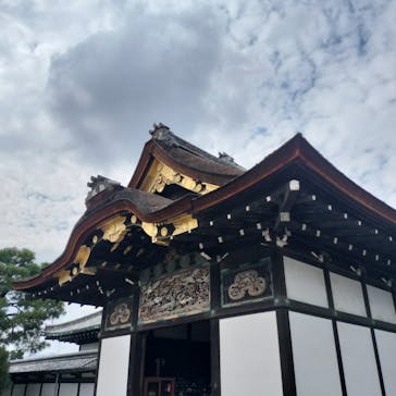 元離宮二条城に投稿された画像（2024/10/20）