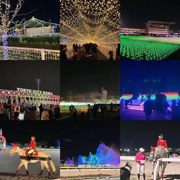 東京メガイルミに投稿された画像（2024/10/20）