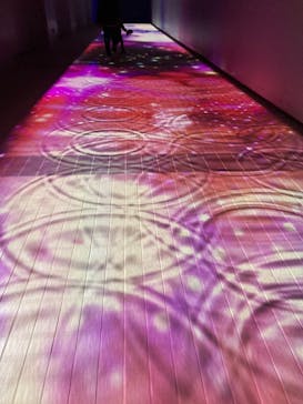 東京メガイルミに投稿された画像（2024/10/20）